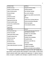 Prakses atskaite 'Prakses atskaite ražošanas uzņēmumā', 8.