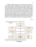 Prakses atskaite 'Prakses atskaite ražošanas uzņēmumā', 10.