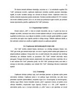 Prakses atskaite 'Prakses atskaite ražošanas uzņēmumā', 11.