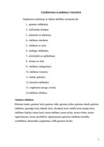 Prakses atskaite 'Praktisko mācību atskaite SIA "abi2"', 5.