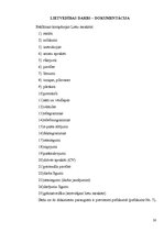 Prakses atskaite 'Praktisko mācību atskaite SIA "abi2"', 20.