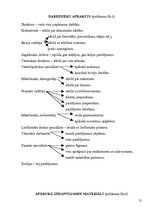 Prakses atskaite 'Praktisko mācību atskaite SIA "abi2"', 31.