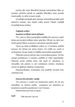 Referāts 'Valsts sociālā politika jaunatnes politikas veidošanā', 31.