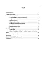 Biznesa plāns 'Skaistumkopšanas salona biznesa plāns', 1.