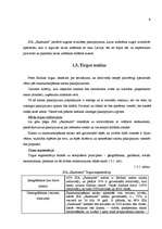 Biznesa plāns 'Skaistumkopšanas salona biznesa plāns', 7.