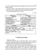 Biznesa plāns 'Skaistumkopšanas salona biznesa plāns', 10.