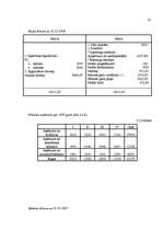 Biznesa plāns 'Skaistumkopšanas salona biznesa plāns', 30.