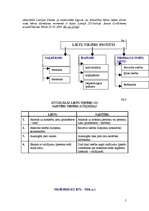 Referāts 'Lietu (īpašuma) tiesības', 5.