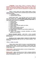 Referāts 'Lietu (īpašuma) tiesības', 12.