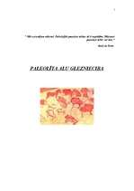 Referāts 'Paleolīta alu glezniecība', 1.