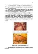 Referāts 'Paleolīta alu glezniecība', 5.