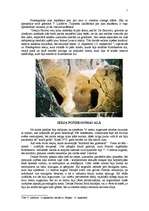 Referāts 'Paleolīta alu glezniecība', 7.