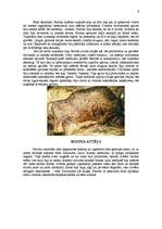 Referāts 'Paleolīta alu glezniecība', 8.