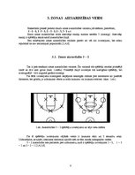 Referāts 'Zonas aizsardzības un zonas presinga pielietošanas efektivitāte', 8.