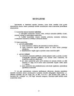 Referāts 'Zonas aizsardzības un zonas presinga pielietošanas efektivitāte', 13.