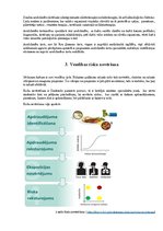 Referāts 'Ar darbu saistītie veselības traucējumi', 6.