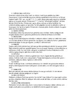 Prezentācija 'Sinto "Dieva ceļš"', 23.