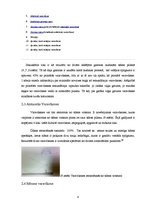 Referāts 'Varavīksnes skaidrojums', 8.