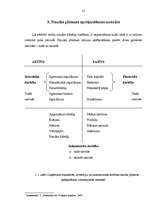 Referāts 'Naudas plūsmas analīze', 13.