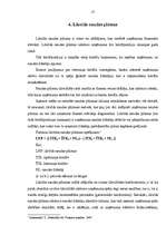 Referāts 'Naudas plūsmas analīze', 17.