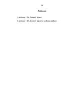 Referāts 'Naudas plūsmas analīze', 24.