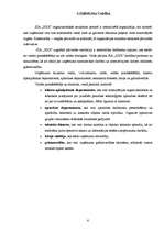 Prakses atskaite 'Finanšu vadība SIA "XXX"', 6.