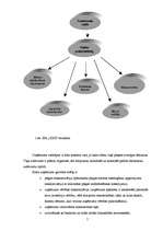 Prakses atskaite 'Finanšu vadība SIA "XXX"', 7.