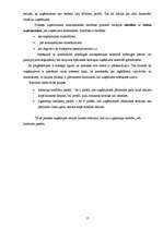 Prakses atskaite 'Finanšu vadība SIA "XXX"', 17.