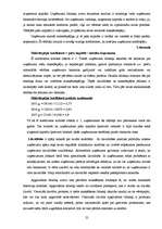 Prakses atskaite 'Finanšu vadība SIA "XXX"', 25.