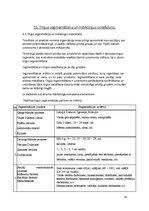 Konspekts 'Mārketinga eksāmens', 29.