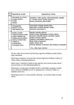 Konspekts 'Mārketinga eksāmens', 30.