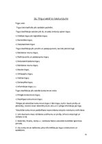 Konspekts 'Mārketinga eksāmens', 31.