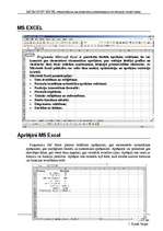 Referāts 'MS Excel pielietošana matemātikas, ekonomikas un finanšu uzdevumos', 4.