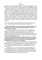 Referāts 'Terorisma problēmas ASV (ģeopolitiskā skatījumā) no 2001. līdz 2003.gadam', 14.