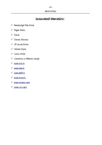 Referāts 'Terorisma problēmas ASV (ģeopolitiskā skatījumā) no 2001. līdz 2003.gadam', 19.