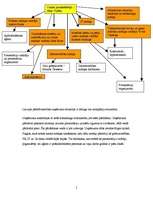 Prakses atskaite 'Prakse uzņēmumā "Eastcon AG LV"', 5.