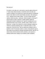 Prakses atskaite 'Prakse uzņēmumā "Eastcon AG LV"', 9.