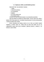 Biznesa plāns 'Sporta klubs SIA "Ašais"', 6.