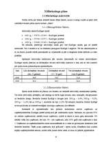 Biznesa plāns 'Sporta klubs SIA "Ašais"', 10.