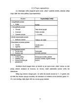 Biznesa plāns 'Sporta klubs SIA "Ašais"', 14.