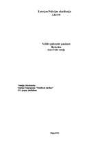 Referāts 'Valsts galvenās pazīmes', 1.