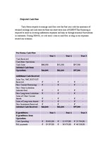 Biznesa plāns 'Ice Cream Restaurant "Tasty Freeze"', 16.