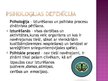 Prezentācija 'Pārskats psiholoģijā', 6.