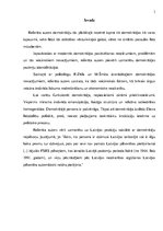 Referāts 'Demokrātijas jēdziens un demokrātijas teorijas', 3.