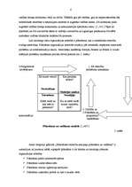 Referāts 'Sabiedrisko attiecību loma organizācijas attīstībā', 6.