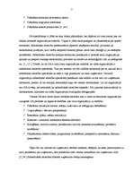 Referāts 'Sabiedrisko attiecību loma organizācijas attīstībā', 7.