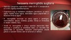 Prezentācija 'Neisseria meningitidis - meningokoki', 5.
