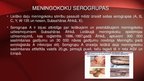 Prezentācija 'Neisseria meningitidis - meningokoki', 10.