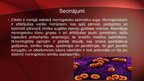 Prezentācija 'Neisseria meningitidis - meningokoki', 15.