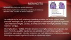 Prezentācija 'Neisseria meningitidis - meningokoki', 16.